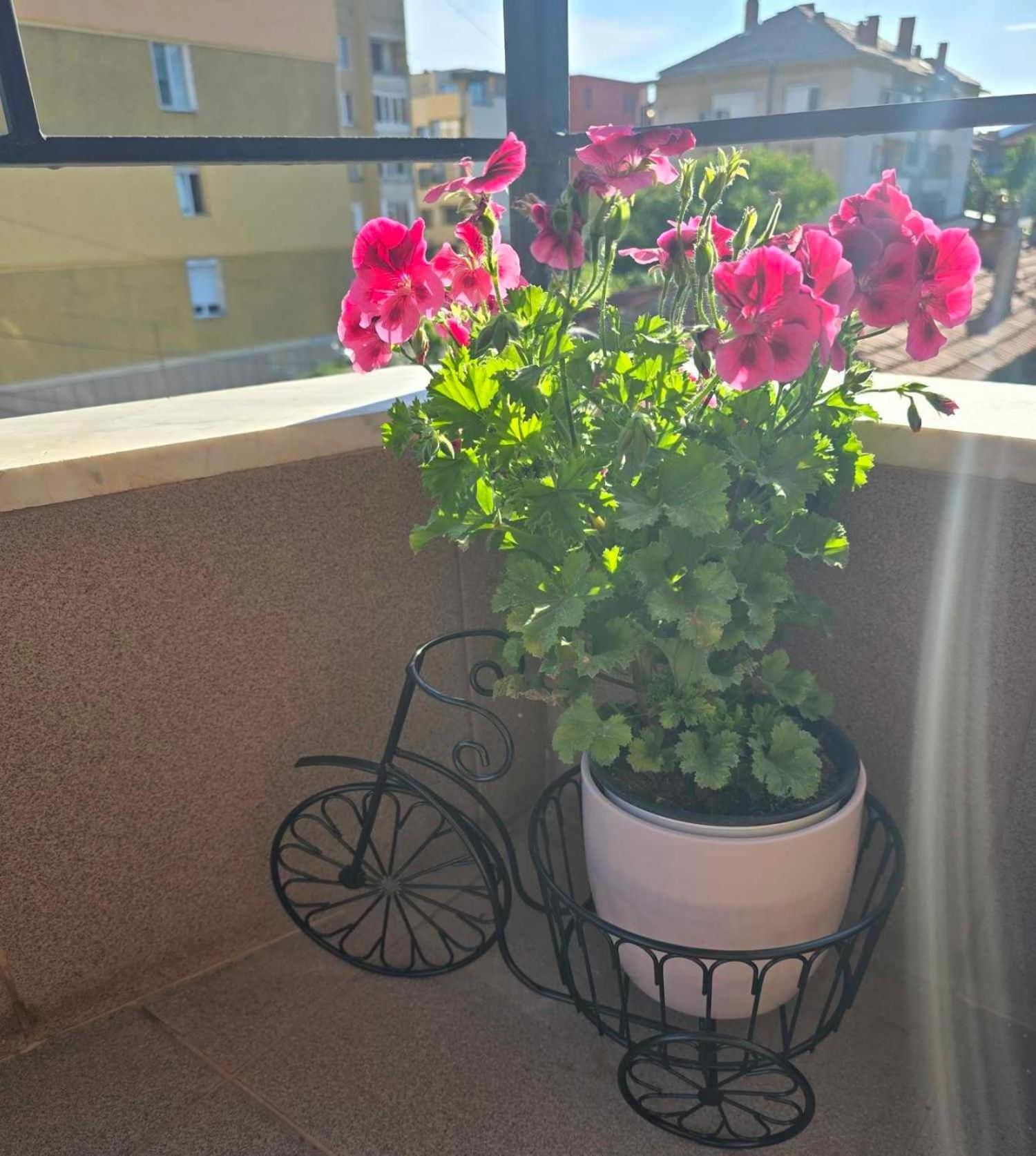 Luxury City Centre Appartment Iva Sliven Extérieur photo